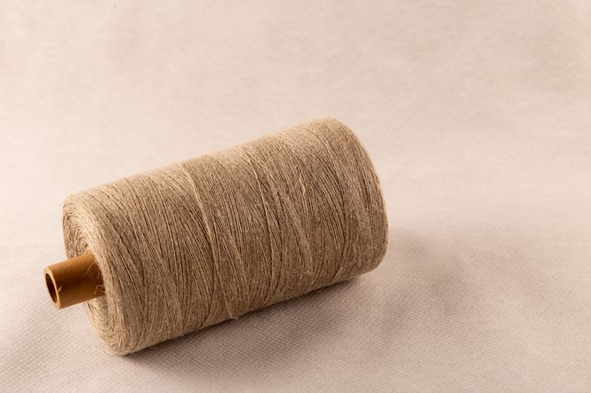 Main Image 20/1 LIN UBLEKET