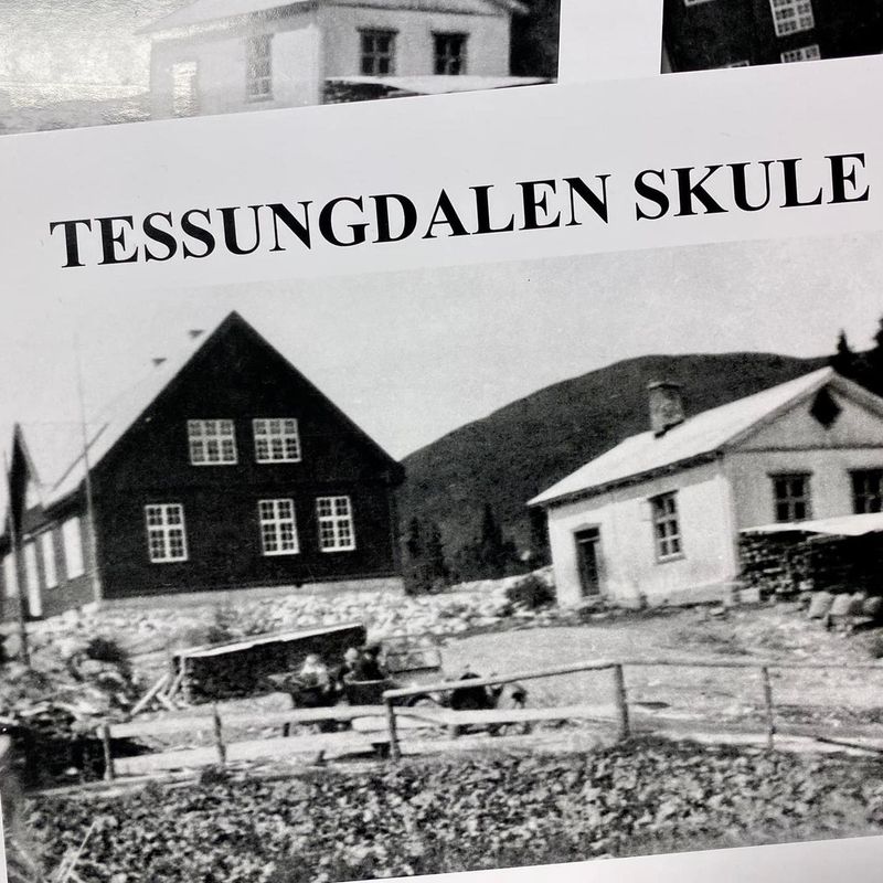 Tessungdalen skule
